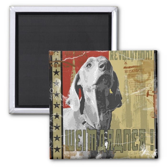 Weimaraner Nation : Vintage Weimaraner! Magnet