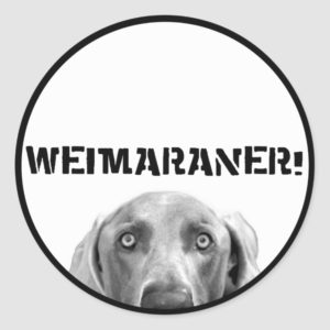 Weimaraner Nation : Weimaraner In a Box (Circle) Classic Round Sticker