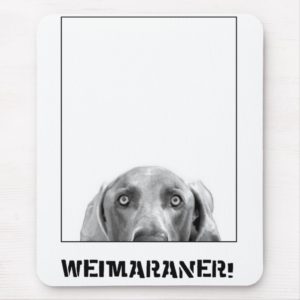 Weimaraner Nation : Weimaraner In A Box! Mouse Pad