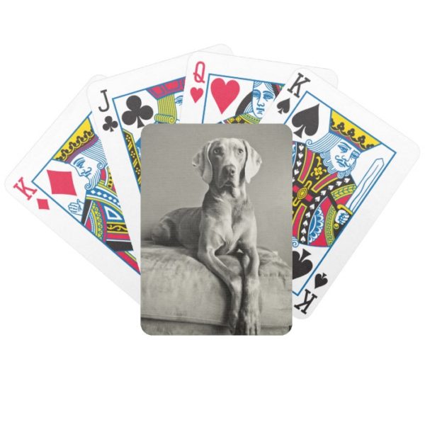 Weimaraner Portrait Bicycle Playing Cards