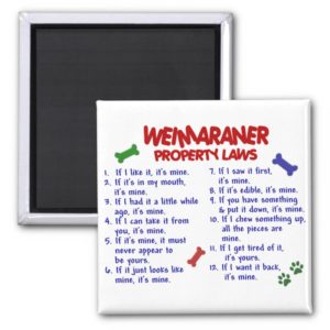 WEIMARANER Property Laws 2 Magnet