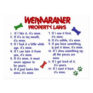 WEIMARANER Property Laws 2 Postcard