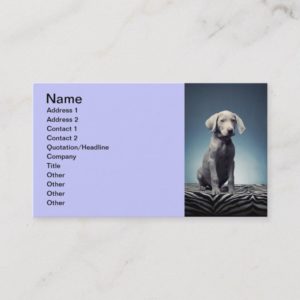 Weimaraner puppy business card