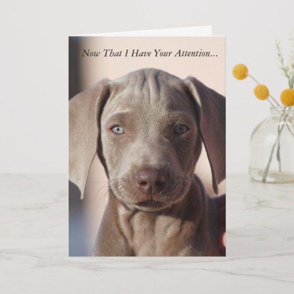 Weimaraner "You Are The Best" Greeting Card