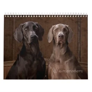 Weimaraners Calendar