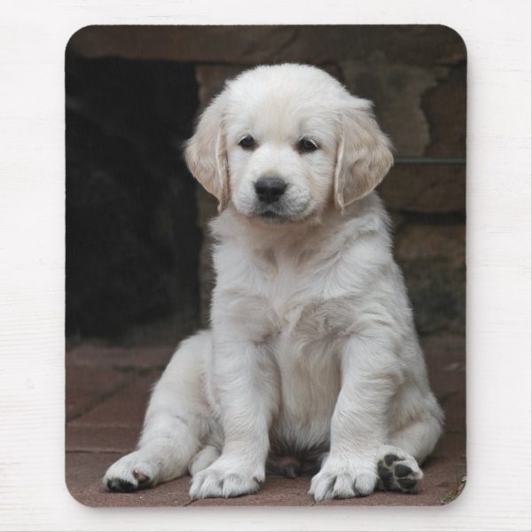 White golden retriever puppy Puppy Mouse Pad