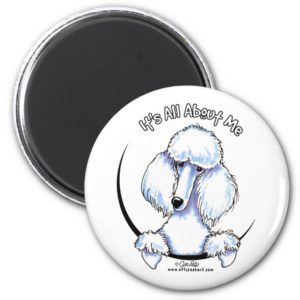 White Standard Poodle IAAM Magnet