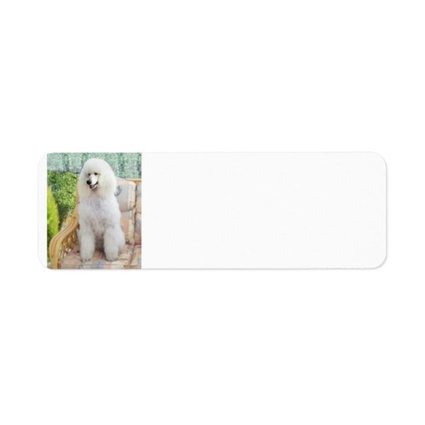 White Standard Poodle Label