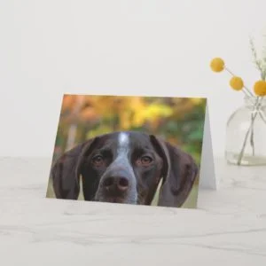 Who Dat Dog? Card