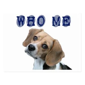 Who Me dog fingerprint Postcard