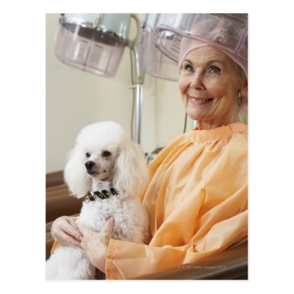 Woman at Hair Salon with Poodle Postcard