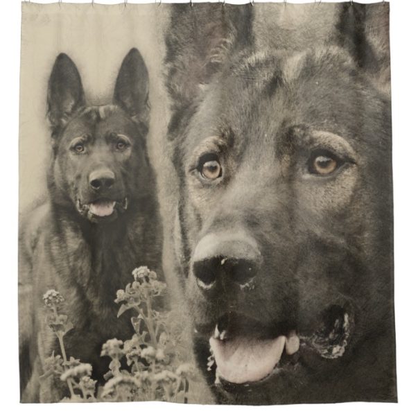 Working German Shepherd Dog  - GSD Shower Curtain