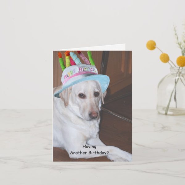 Yellow Labrador Retriever in Birthday Hat Card