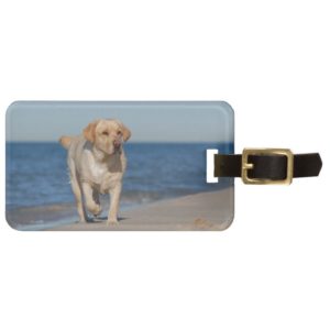 Yellow labrador retriever on the beach luggage tag