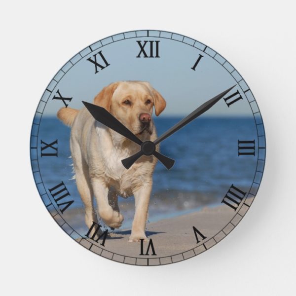 Yellow labrador retriever on the beach round clock