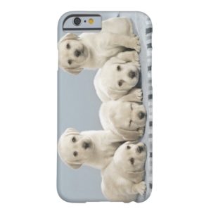 Yellow Labrador Retriever Puppies iPhone 6 Case