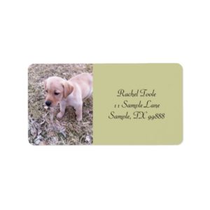 Yellow Labrador Retriever Puppy Address Labels