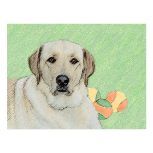 Yellow Labrador Retriever & Tennis Balls Painting Postcard