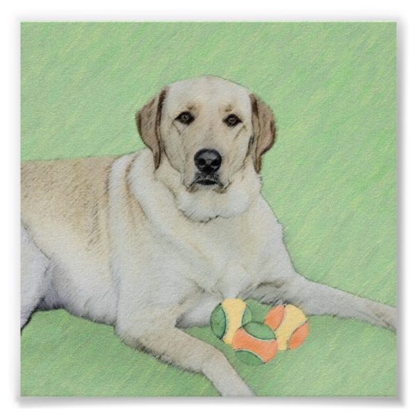 Yellow Labrador Retriever & Tennis Balls Painting Poster