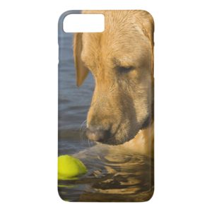 Yellow labrador with a tennis ball in the water Case-Mate iPhone case