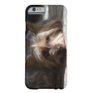 Yorkhire / Silky Terrier phone and iPad cases