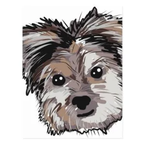 Yorkie Dog Pup Face Sketch Postcard