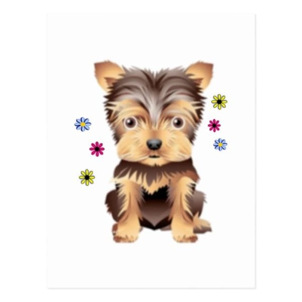 Yorkie Flowers Postcard