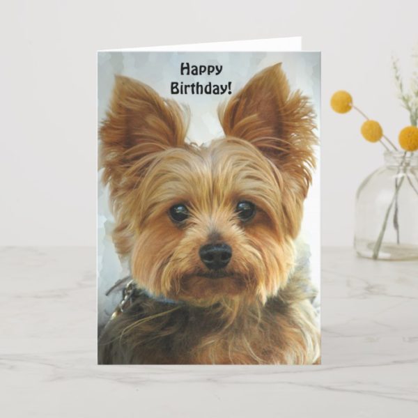 Yorkie - Happy Birthday Card