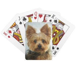 Yorkie luck playing cards