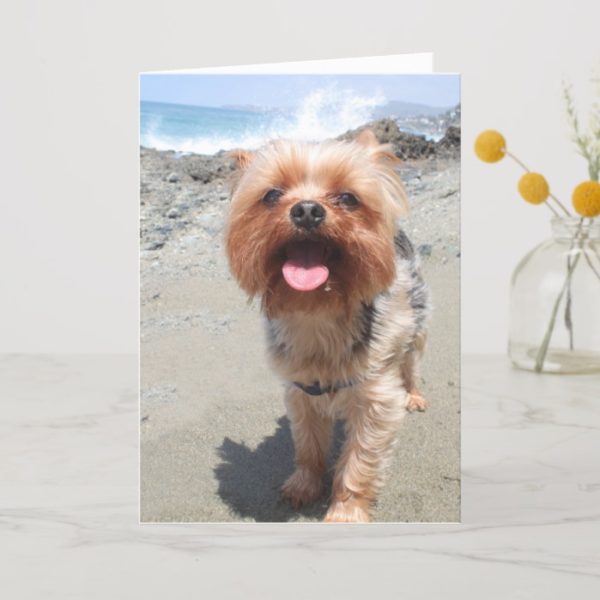 yorkie misses you card