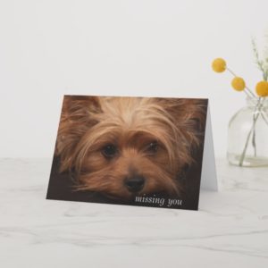 Yorkie Missing You Card