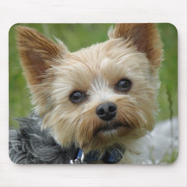 Yorkie Mouse Pad