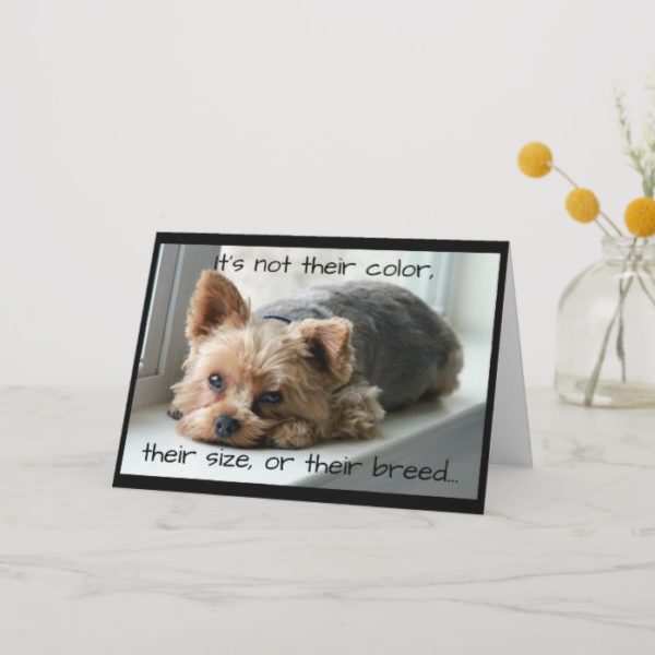 Yorkie on Window Sill Pet Sympathy Card
