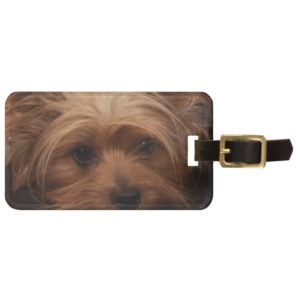 Yorkie or Your Dog Picture Luggage Tag
