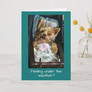 Yorkie Pup in Baby Carriage Card