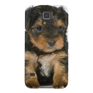 Yorkie Puppy Galaxy S5 Cover