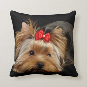 Yorkie with red bow pillow
