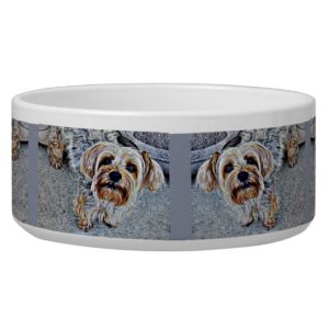 Yorkie Yorkshire Terrier Colored Bowl