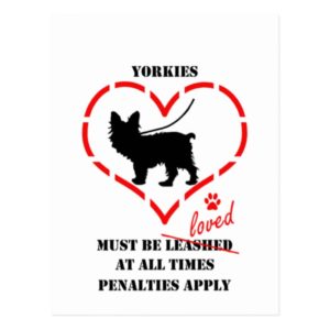 Yorkies Must Be Loved Postcard
