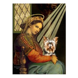Yorkshire Terrier 17 - Madonna Postcard