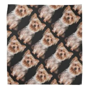 Yorkshire Terrier Bandana