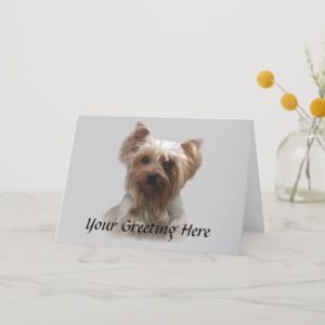 Yorkshire Terrier Card