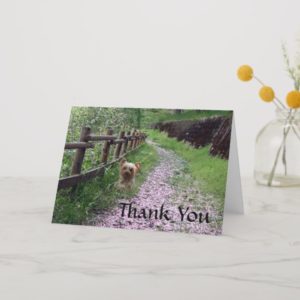 Yorkshire Terrier Card Thank You