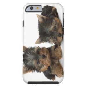 Yorkshire Terrier Case-Mate iPhone Case