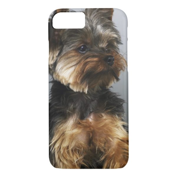 Yorkshire terrier, close-up Case-Mate iPhone case