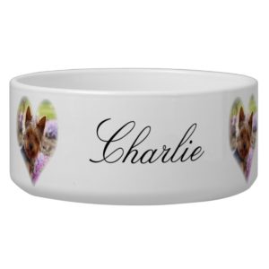 Yorkshire Terrier dog custom name pet bowl