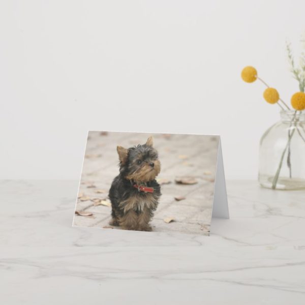 Yorkshire Terrier dog photo blank custom note card