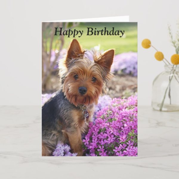 Yorkshire Terrier dog photo custom birthday card