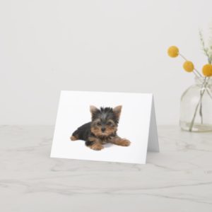 Yorkshire Terrier dog puppy blank custom note card