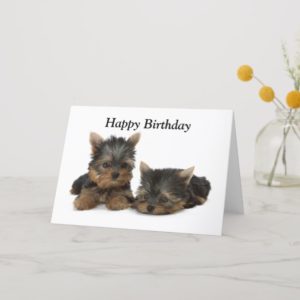 Yorkshire Terrier dog puppy custom birthday card